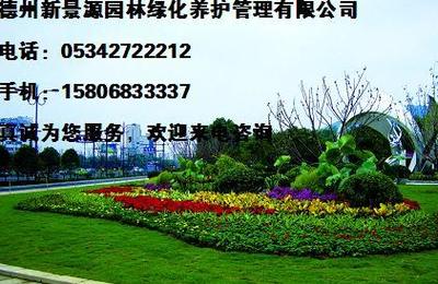 德州新景源园林 绿化养护管理性价比之选