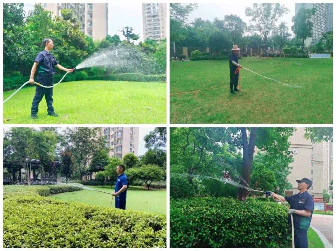 品质进阶，绿化养护——和融物业让生活更美好