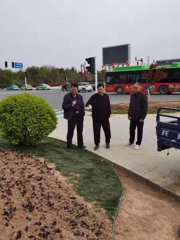 三门峡市绿化工程管理处精心施工细心养护 全力做好迎检工作