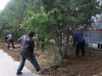 涿州市多措并举推进园林绿化工作，助力创城目标