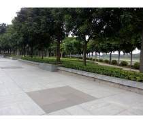 绿化管理产品库 提升城市绿化品质与效率的智慧工具