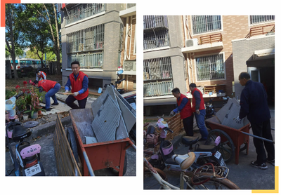 小区绿化需共护，莫让公共空间变私人“小菜园”