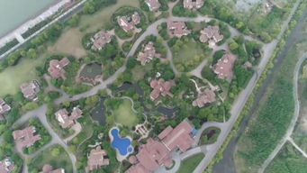 《南通市城市绿化管理条例》正式实施，开启城市绿化管理新篇章