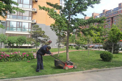 茂名绿化养护流程与绿化管理实践