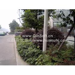 园林养护全产业链解析 从批发供应、厂家生产到绿化管理