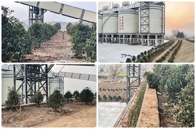 中淮矿业年产600万吨砂石骨料生产线绿化管理实践与成效